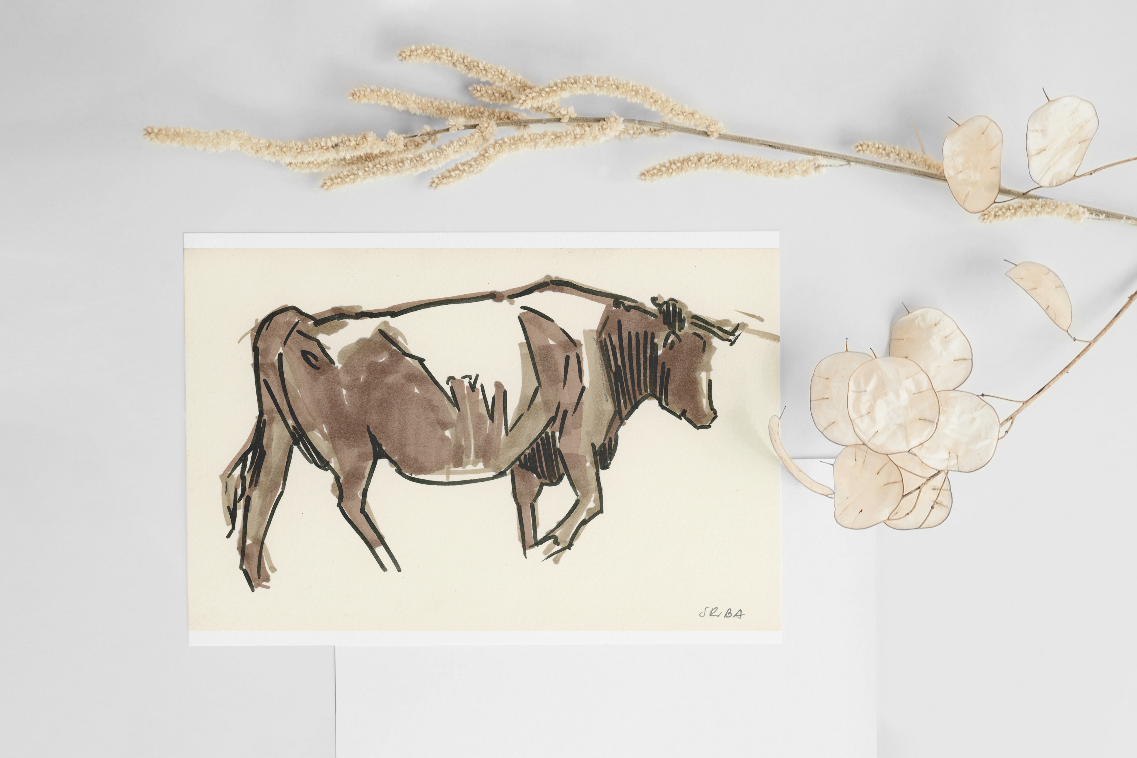 High Quality Postcard of a Hand-drawn Geres Mountains Bull