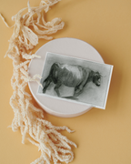 Cow Postcard from Azores Hand-drawn printed on high grade art paper