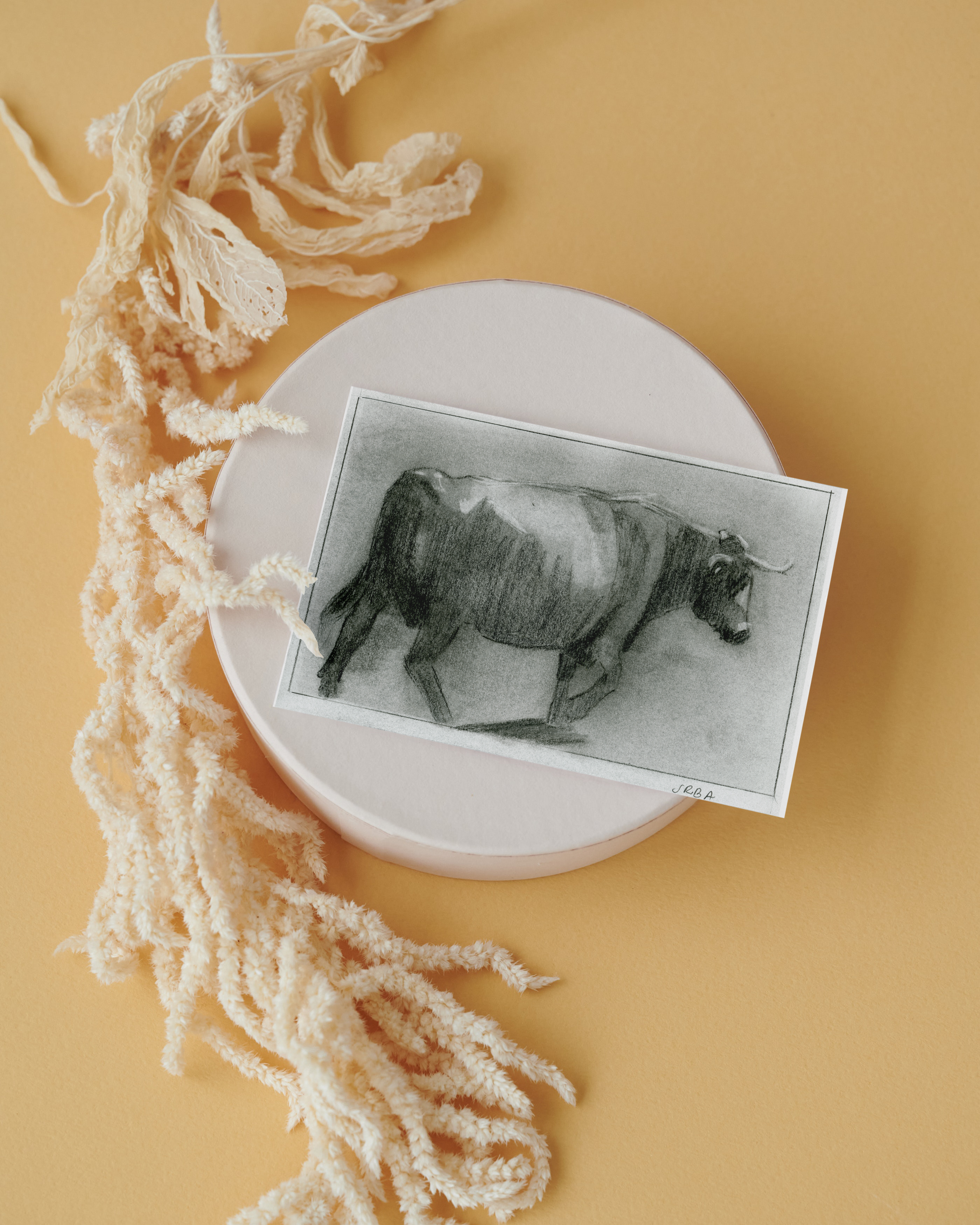Cow Postcard from Azores Hand-drawn printed on high grade art paper