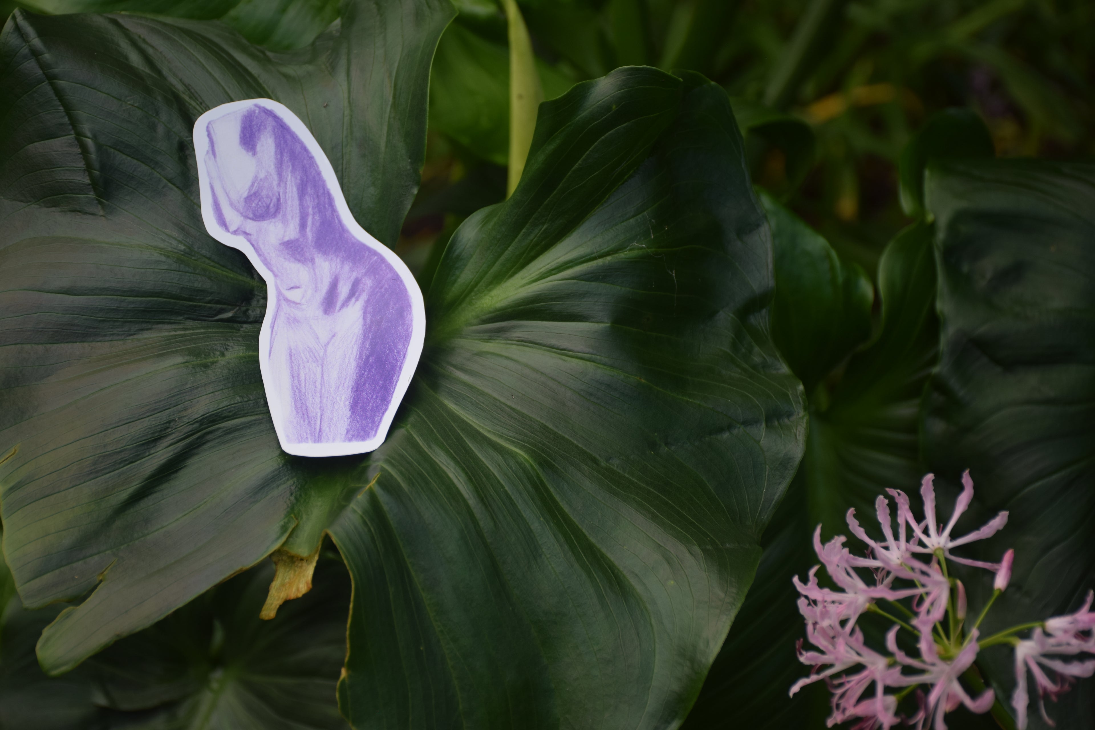Sensual Violeta Traditional Art Drawing Digitalized and Printed on Vinyl Sticker