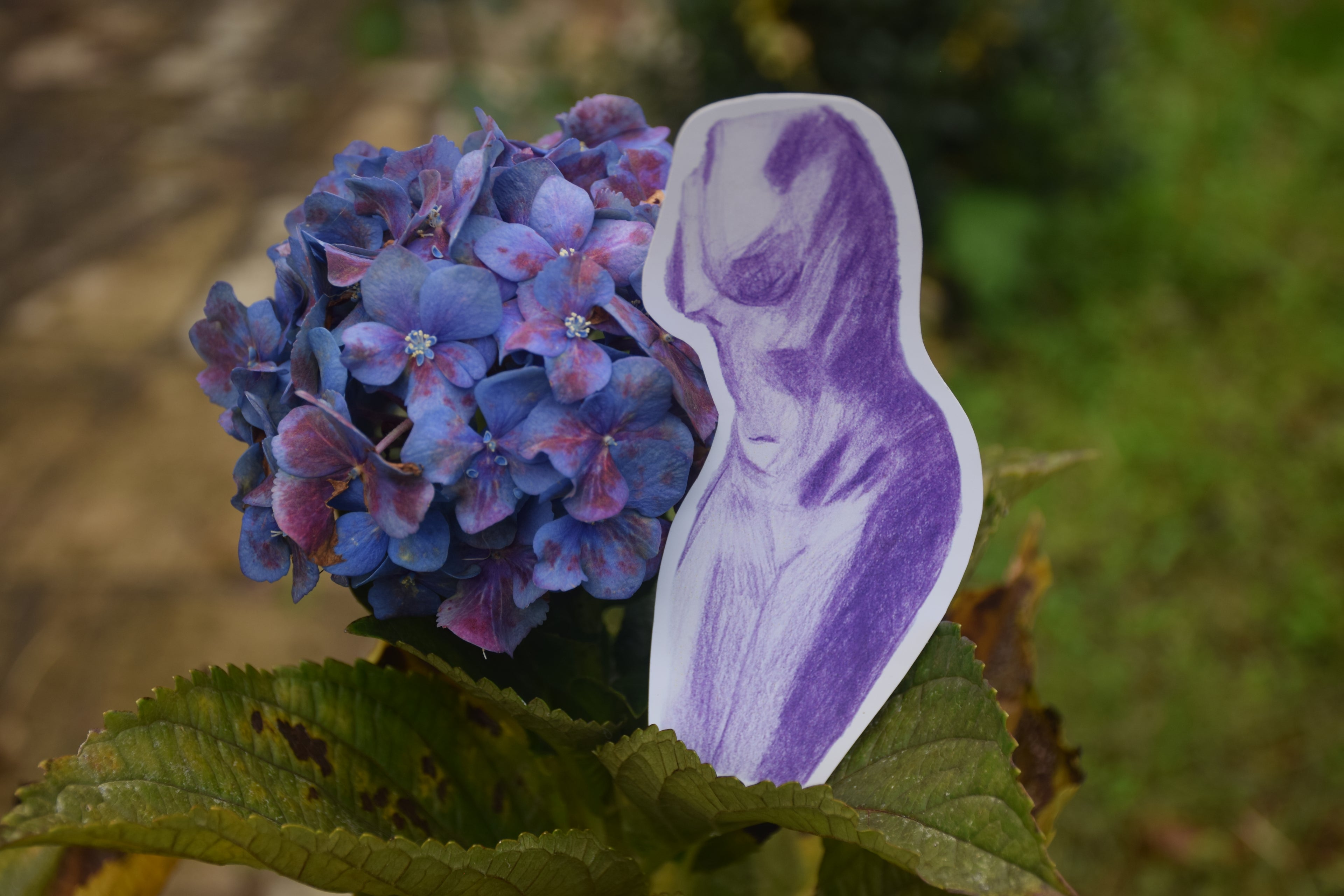 Sensual Violeta Traditional Art Drawing Digitalized and Printed on Vinyl Sticker