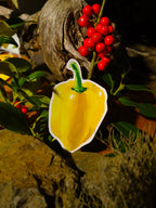 Bundle! Tiny Stickers: Vintage Car, House, Yellow Pepper
