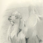 Animal drawing 024 A3 Print