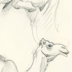 Sketchbook studies 01