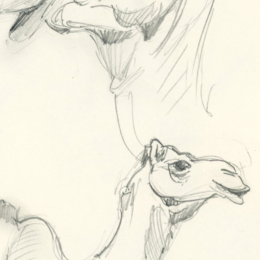 Sketchbook studies 01