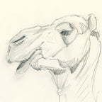 Sketchbook studies 01