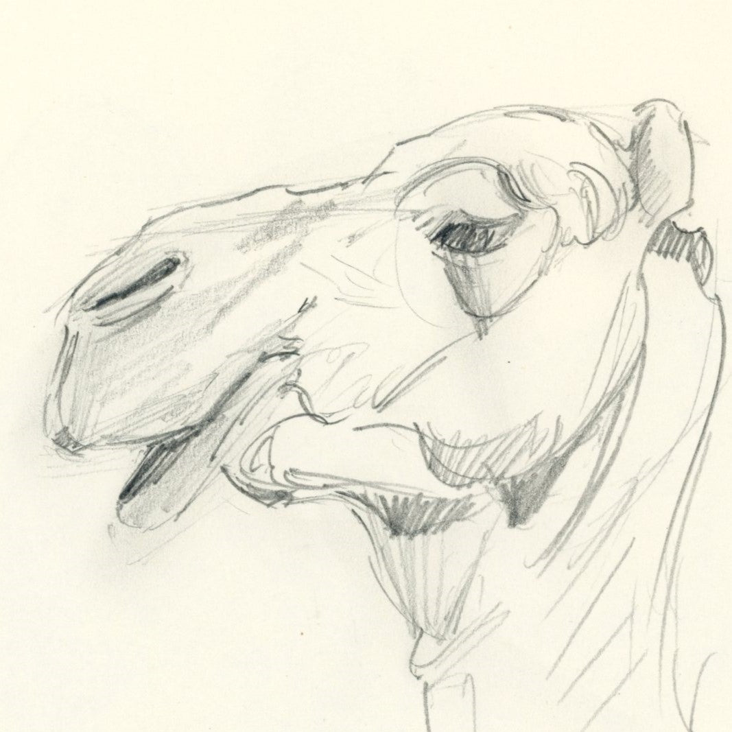 Sketchbook studies 01