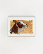 Mellow Fine Art Print